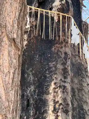 飛木稲荷神社(東京都)