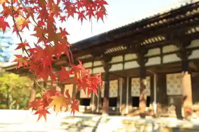 唐招提寺(奈良県)