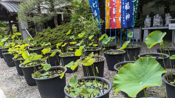 行願寺(革堂)(京都府)