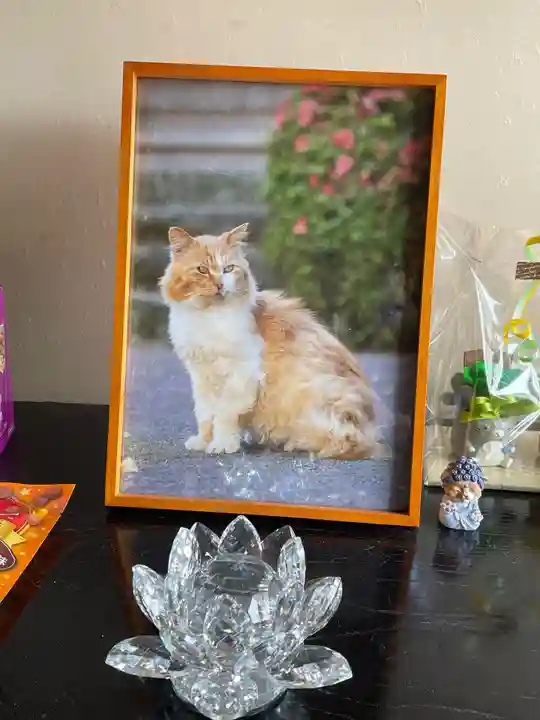 長光寺(静岡県)