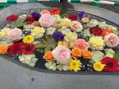 駒込妙義神社の手水