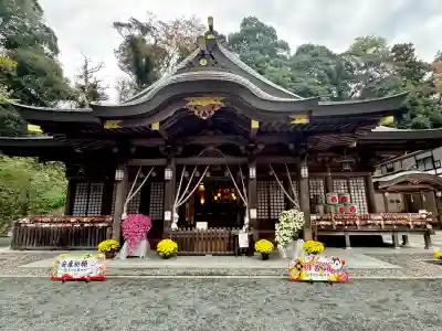金刀比羅神社の{uncategorized: "未分類", other: "その他", undefined: "問題あり", building: "その他建物", grave: "お墓", sacred_gate: "鳥居", guardian: "狛犬", statue: "像", buddha: "仏像", history: "歴史", nature: "自然", garden: "庭園", animal: "動物", pagoda: "塔", temizu: "手水舎", mountain_gate: "山門・神門", sanctuary: "本殿・本堂", subordinate: "末社・摂社", art: "芸術", scenery: "景色", jizo: "地蔵", ema: "絵馬", goshuin: "御朱印", omikuji: "おみくじ", items: "授与品その他", amulet: "お守り", goshuincho: "御朱印帳", eats: "食事", festival: "お祭り", votive_dance: "神楽", shichigosan: "七五三参", wedding: "結婚式", experience: "体験その他", initially: "初詣", around: "周辺", anti_infection: "感染症対策"}