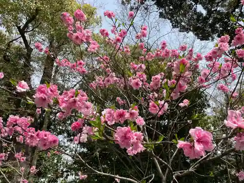 城南宮(京都府)