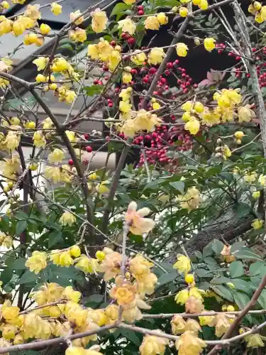 大蓮寺の{uncategorized: "未分類", other: "その他", undefined: "問題あり", building: "その他建物", grave: "お墓", sacred_gate: "鳥居", guardian: "狛犬", statue: "像", buddha: "仏像", history: "歴史", nature: "自然", garden: "庭園", animal: "動物", pagoda: "塔", temizu: "手水舎", mountain_gate: "山門・神門", sanctuary: "本殿・本堂", subordinate: "末社・摂社", art: "芸術", scenery: "景色", jizo: "地蔵", ema: "絵馬", goshuin: "御朱印", omikuji: "おみくじ", items: "授与品その他", amulet: "お守り", goshuincho: "御朱印帳", eats: "食事", festival: "お祭り", votive_dance: "神楽", shichigosan: "七五三参", wedding: "結婚式", experience: "体験その他", initially: "初詣", around: "周辺", anti_infection: "感染症対策"}