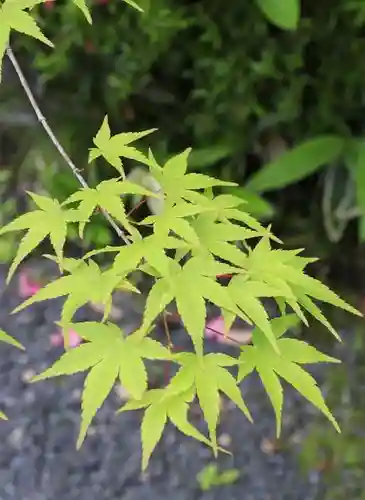 善法律寺(京都府)