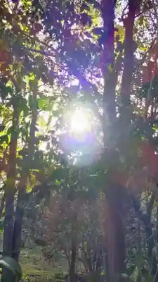 天野神社の自然