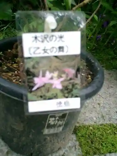 光則寺(神奈川県)