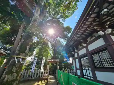 川越八幡宮(埼玉県)