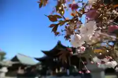 白鳥神社の自然