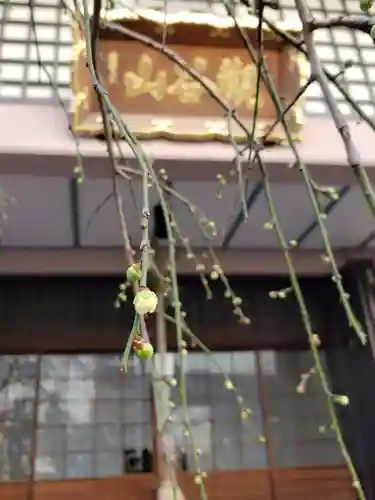 聖輪寺のその他建物