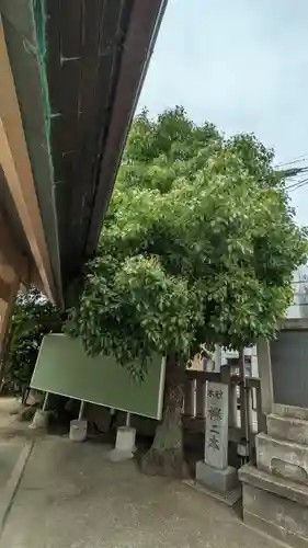 三津神社(大阪府)