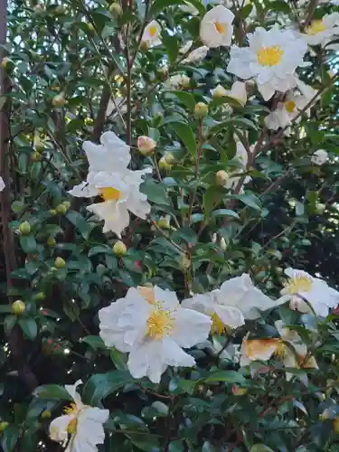 母智丘神社(東京都)