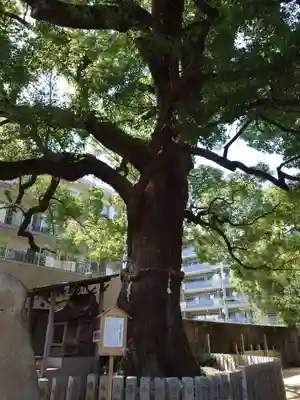 津門神社(兵庫県)