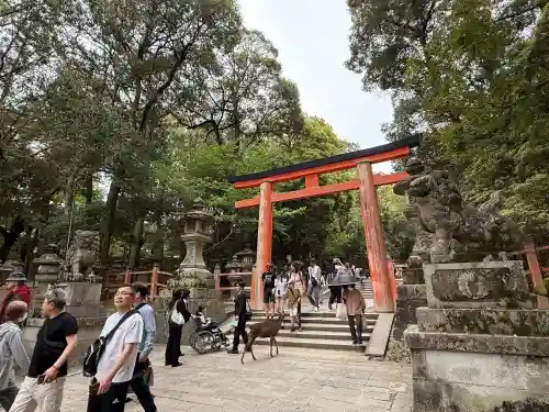 春日大社の{uncategorized: "未分類", other: "その他", undefined: "問題あり", building: "その他建物", grave: "お墓", sacred_gate: "鳥居", guardian: "狛犬", statue: "像", buddha: "仏像", history: "歴史", nature: "自然", garden: "庭園", animal: "動物", pagoda: "塔", temizu: "手水舎", mountain_gate: "山門・神門", sanctuary: "本殿・本堂", subordinate: "末社・摂社", art: "芸術", scenery: "景色", jizo: "地蔵", ema: "絵馬", goshuin: "御朱印", omikuji: "おみくじ", items: "授与品その他", amulet: "お守り", goshuincho: "御朱印帳", eats: "食事", festival: "お祭り", votive_dance: "神楽", shichigosan: "七五三参", wedding: "結婚式", experience: "体験その他", initially: "初詣", around: "周辺", anti_infection: "感染症対策"}