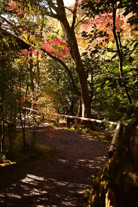 光悦寺(京都府)