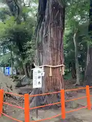 息栖神社(茨城県)