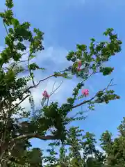 白鷺神社の自然