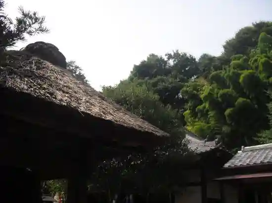 円応寺の本殿・本堂