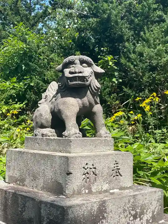 留寿都神社の狛犬