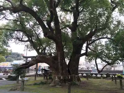 諫早神社（九州総守護  四面宮）(長崎県)