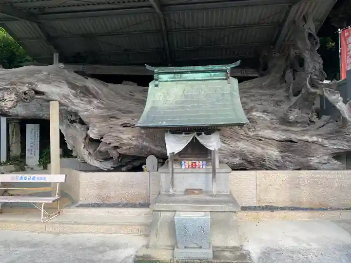 正善寺(生木地蔵)(愛媛県)