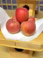 蚊里田八幡宮(長野県)