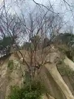 藤兵衛稲荷神社 羅漢山築城稲荷神社(福島県)