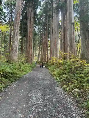 戸隠神社奥社(長野県)