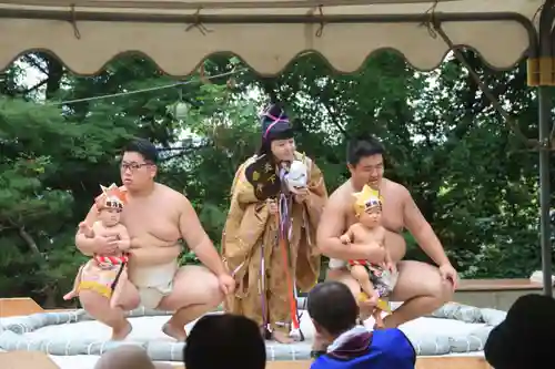 隠津島神社の体験その他