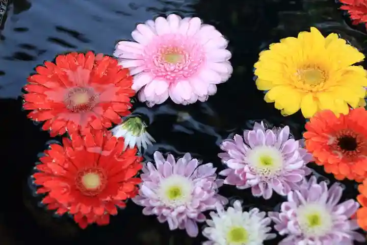 大鏑神社の手水舎