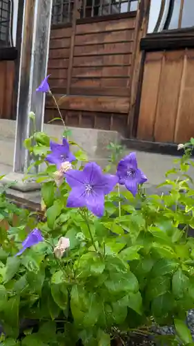 念佛寺(京都府)