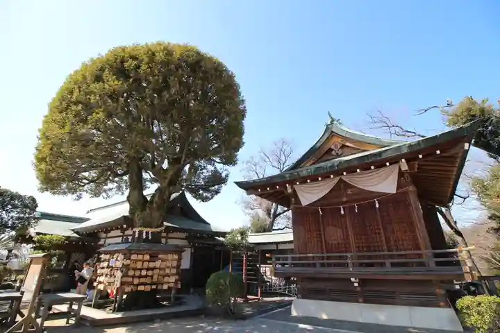 足利織姫神社(栃木県)