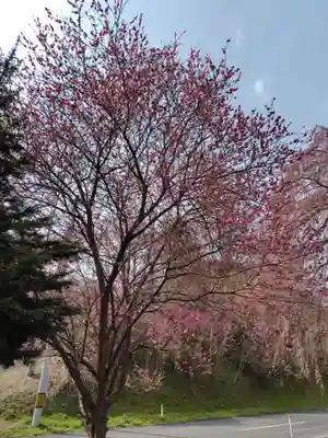 厳島神社(福島県)