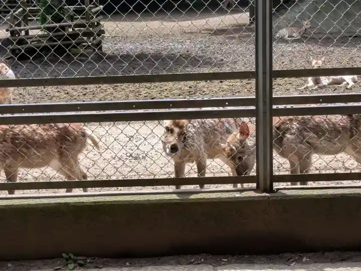 鹿島神宮(茨城県)