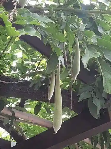 西方山極楽寺(岐阜県)