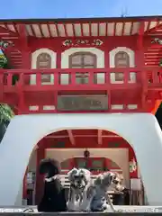 龍宮神社(鹿児島県)