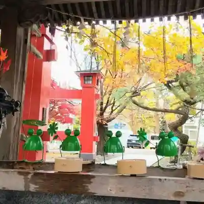 彌彦神社　(伊夜日子神社)の手水舎