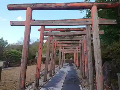 姫稲荷（豊川稲荷姫分霊場姫稲荷）の鳥居