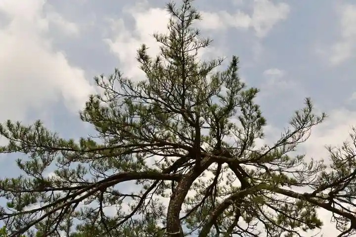 越中一宮 髙瀬神社(富山県)