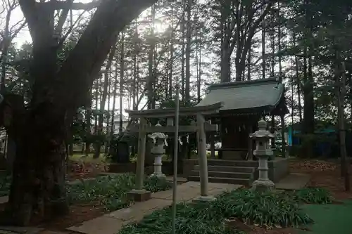 天形星神社の鳥居