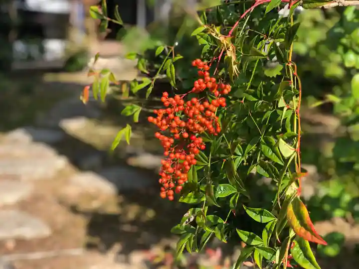 木舟山 順教寺の自然
