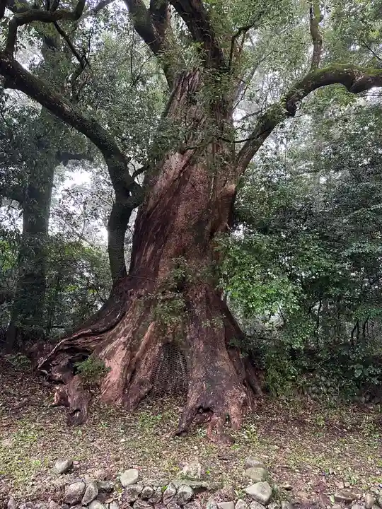都萬神社(宮崎県)