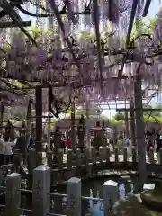 山田日吉神社(熊本県)