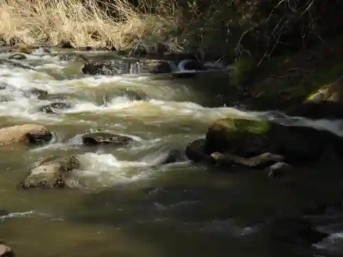 金櫻神社の{uncategorized: "未分類", other: "その他", undefined: "問題あり", building: "その他建物", grave: "お墓", sacred_gate: "鳥居", guardian: "狛犬", statue: "像", buddha: "仏像", history: "歴史", nature: "自然", garden: "庭園", animal: "動物", pagoda: "塔", temizu: "手水舎", mountain_gate: "山門・神門", sanctuary: "本殿・本堂", subordinate: "末社・摂社", art: "芸術", scenery: "景色", jizo: "地蔵", ema: "絵馬", goshuin: "御朱印", omikuji: "おみくじ", items: "授与品その他", amulet: "お守り", goshuincho: "御朱印帳", eats: "食事", festival: "お祭り", votive_dance: "神楽", shichigosan: "七五三参", wedding: "結婚式", experience: "体験その他", initially: "初詣", around: "周辺", anti_infection: "感染症対策"}