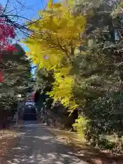 十勝神社(北海道)