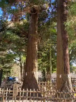 大田原神社(栃木県)