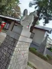 開運招福 飯玉神社の狛犬