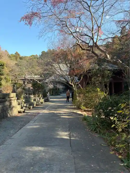 妙本寺(神奈川県)