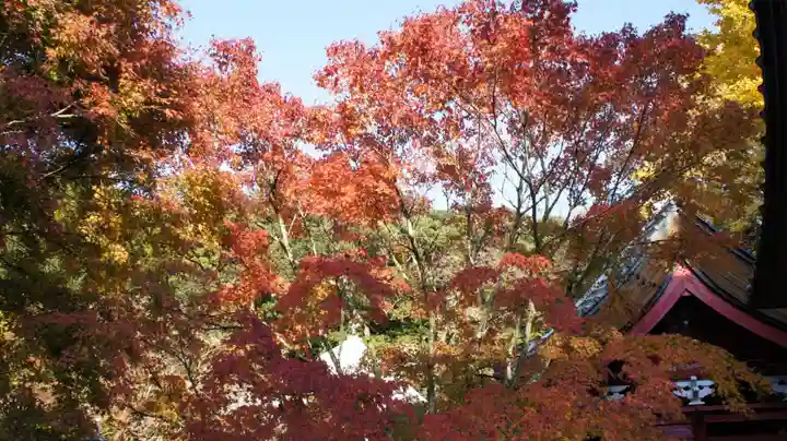 小松寺(千葉県)