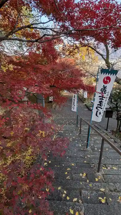 岩屋寺(京都府)